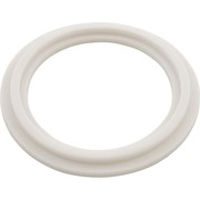 Waterway Plastics 2″ Heater O-Ring/Gasket