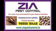 Zia Pest Control2 | Cockroach treatment | Restaurents Office
